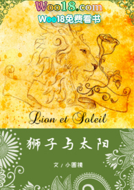 狮子与太阳小说 百度网盘